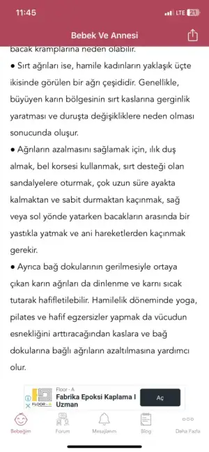 IMG_2615.webp