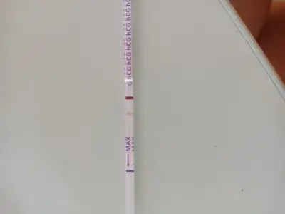 1686157007452531202243392123977.webp