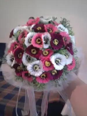 $FotoÃ°raf0310.webp