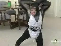 $chimp.webp