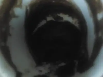 $2012-08-25 12.48.03.webp