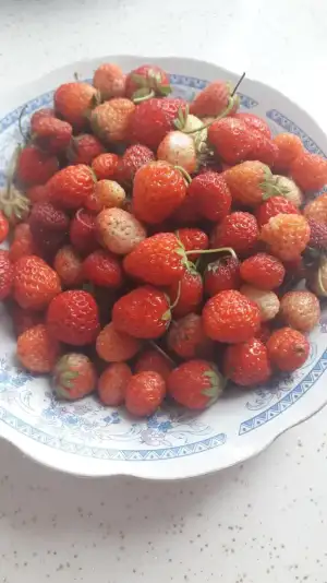 20230707_172441.webp