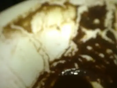 $260820121080.webp