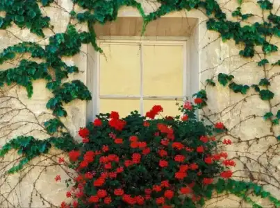 $pencere-kapi-onleri (11).webp