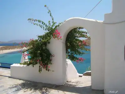 $pencere-kapi-onleri (18).webp