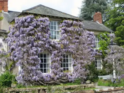 $pencere-kapi-onleri (19).webp