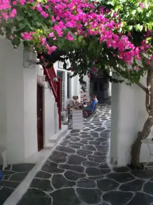 $pencere-kapi-onleri (21).webp