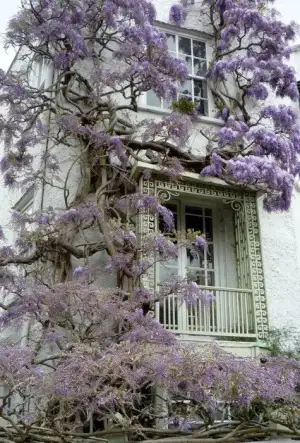 $pencere-kapi-onleri (25).webp