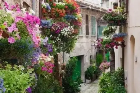 $pencere-kapi-onleri (26).webp