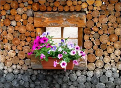 $pencere-kapi-onleri (33).webp