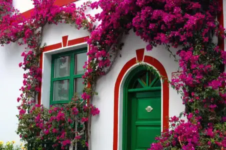 $pencere-kapi-onleri (39).webp