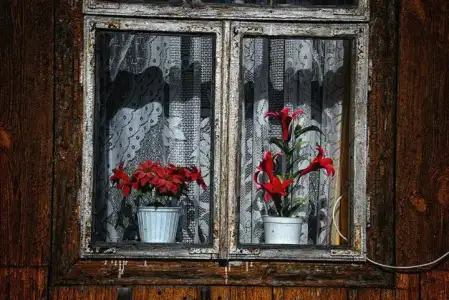 $pencere-kapi-onleri (50).webp