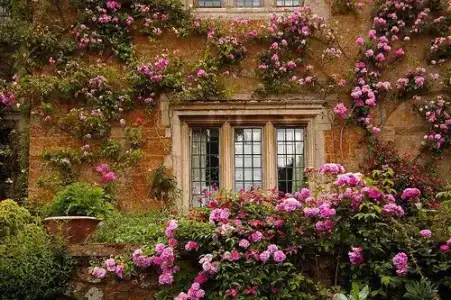 $pencere-kapi-onleri (51).webp