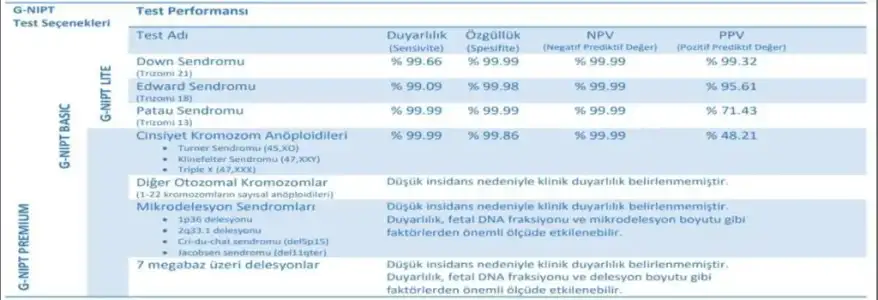 552e2f88-9d6c-423f-9284-ff73943d12a7.webp
