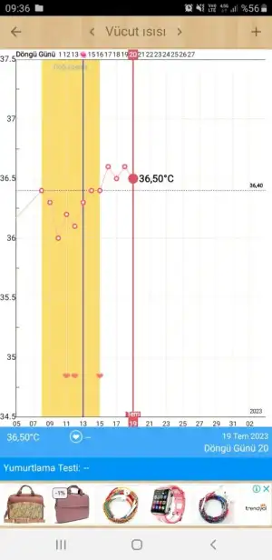 Screenshot_20230719-093633_My Calendar.webp