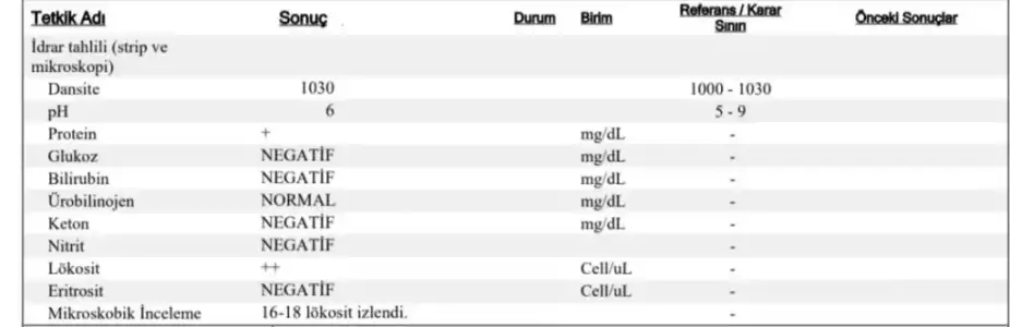 Screenshot_20230720_171705_Samsung Notes.webp