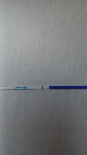 16901006363422845481476175123036.webp