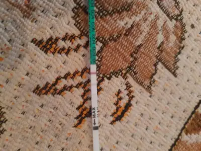 20230724_100819.webp