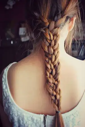 $3_990890414fd593e17036a.webp