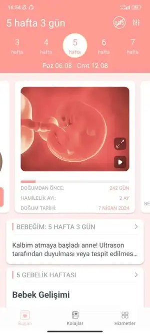 Screenshot_2023-08-09-16-54-34-356_com.pregnancyapp.babyinside.webp