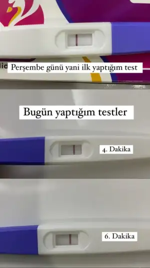 1FE0FD52-86F9-4A5E-857F-E1C95A5E9FD2.webp