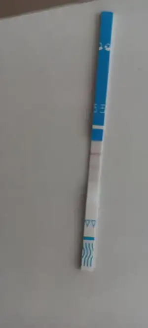 1000024131.webp