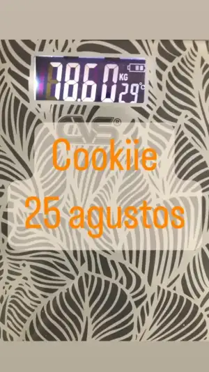 71B476E1-E0A4-42A6-80C2-75B5E777E410.webp