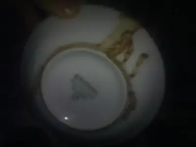 $300820124393.webp