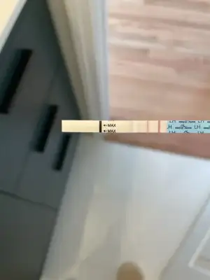 image.webp