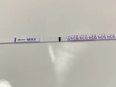 DCA91A83-1C83-4E95-9B1C-3BC6FD115E77.webp