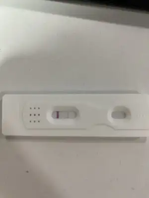 B9DED04B-9B32-4FDA-9146-322264A4926A.webp