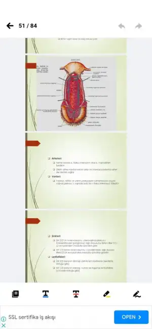 Screenshot_20230918_142538257_PDF Okuyucu.webp