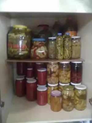 $030920121033.webp