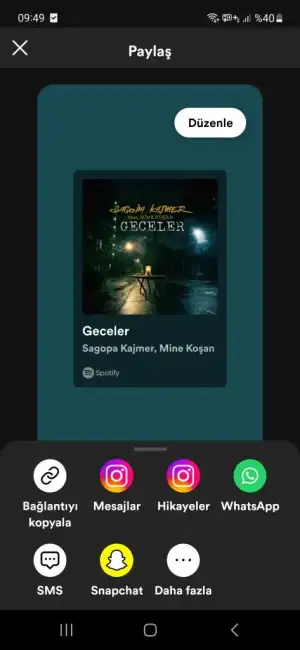 Screenshot_20230927_094952_Spotify.webp