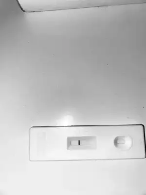 605A02A7-A0BA-4339-AE9B-8D011997A39F.webp