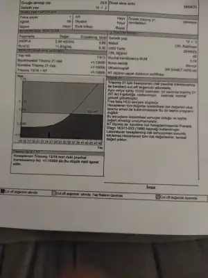 16965808641437786982431397511974.webp