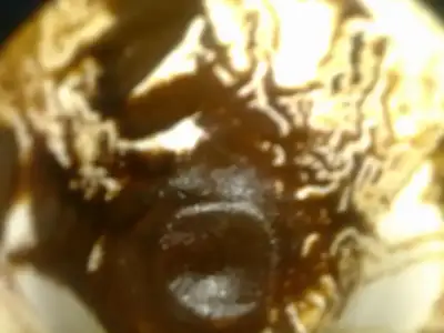 $030920121103.webp