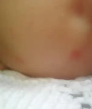 IMG-20231022-WA0011.webp