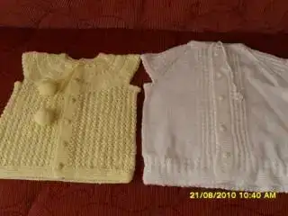 $SDC10121 (600 x 450).webp