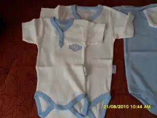 $SDC10123 (600 x 450).webp