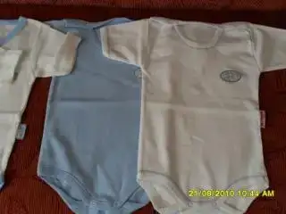 $SDC10124 (600 x 450).webp