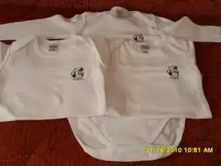 $SDC10134 (600 x 450).webp