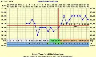 $303711.webp