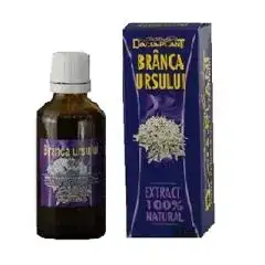$branca_ursului.webp