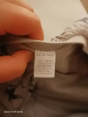 16985343917435497798843931660459.webp