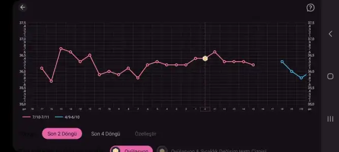 Screenshot_20231029_225043_Femometer.webp