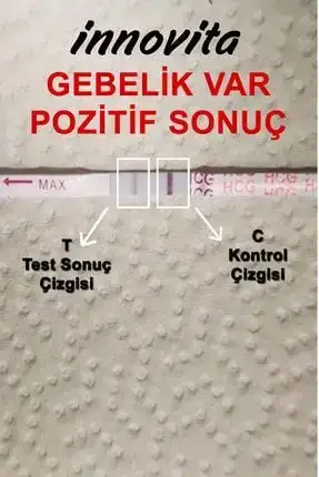 5_org.webp