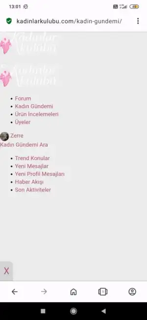 Screenshot_2023-11-07-13-01-13-811_com.opera.browser.webp