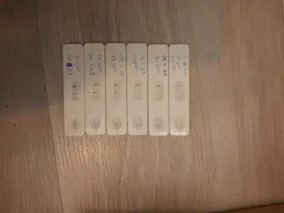 16993636363683415217142988299574.webp