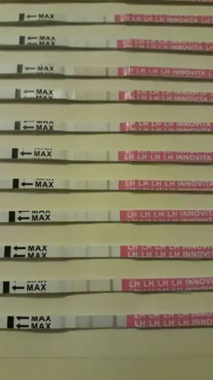 20231115_202202.webp